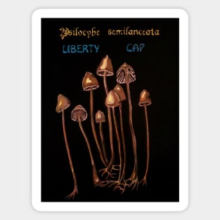 Liberty Cap - Magic Sticker